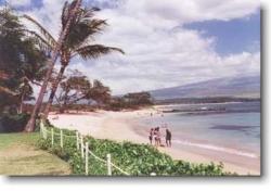 4 Miles of undeveloped beach next to the condo