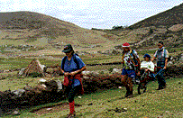 Mountains of Peru